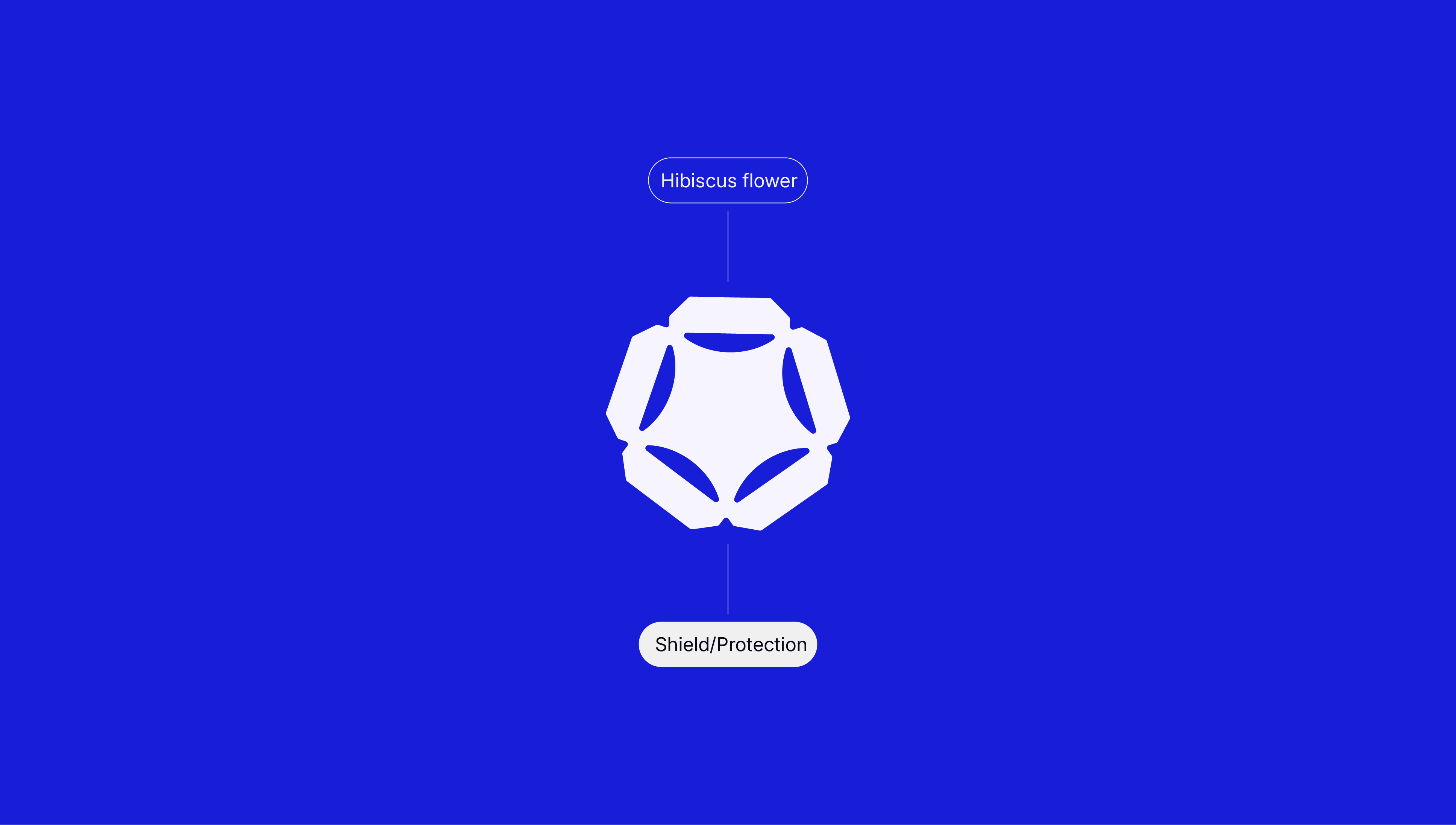 BJAK brand identity