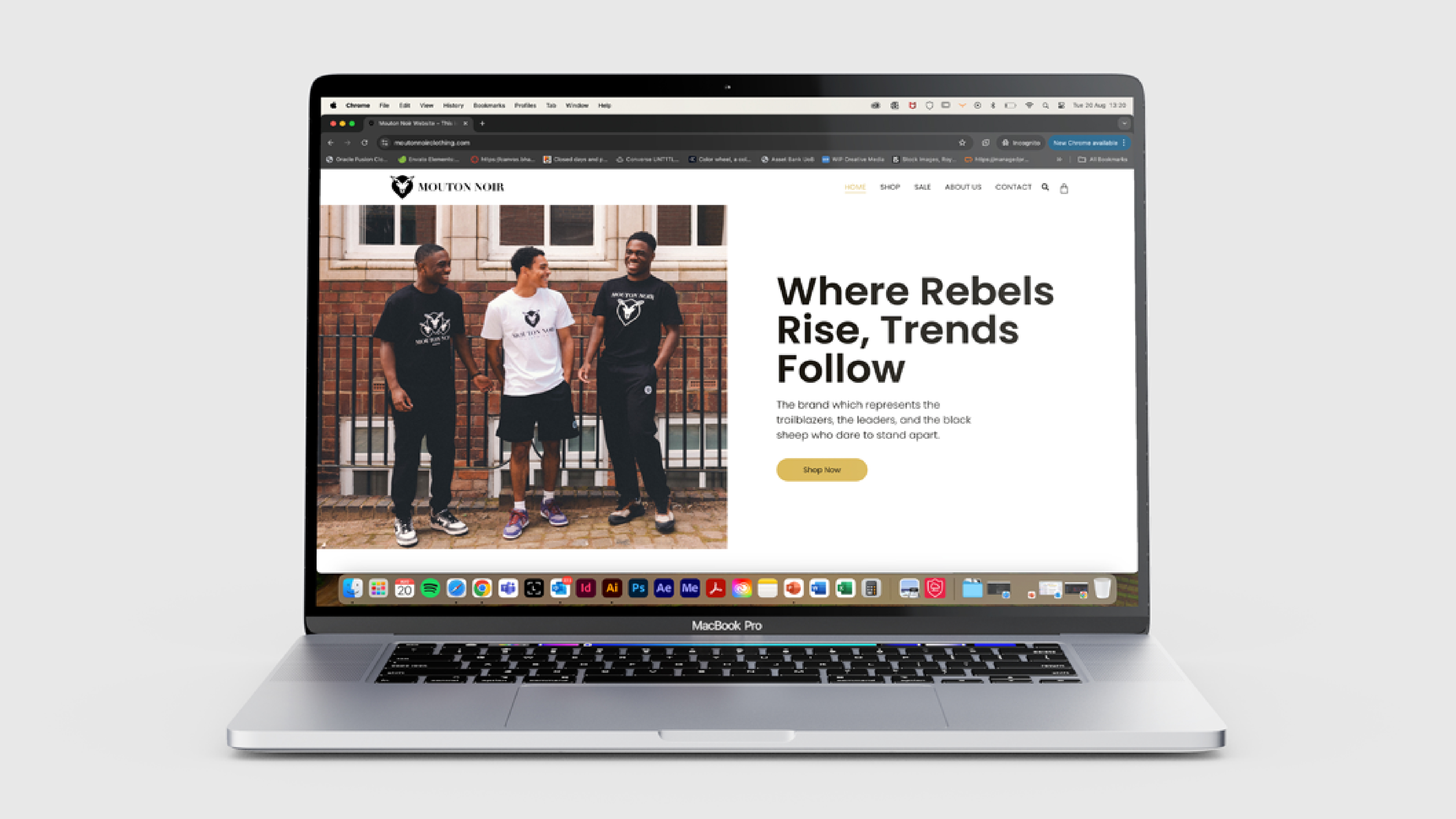 Mouton Noir website design
