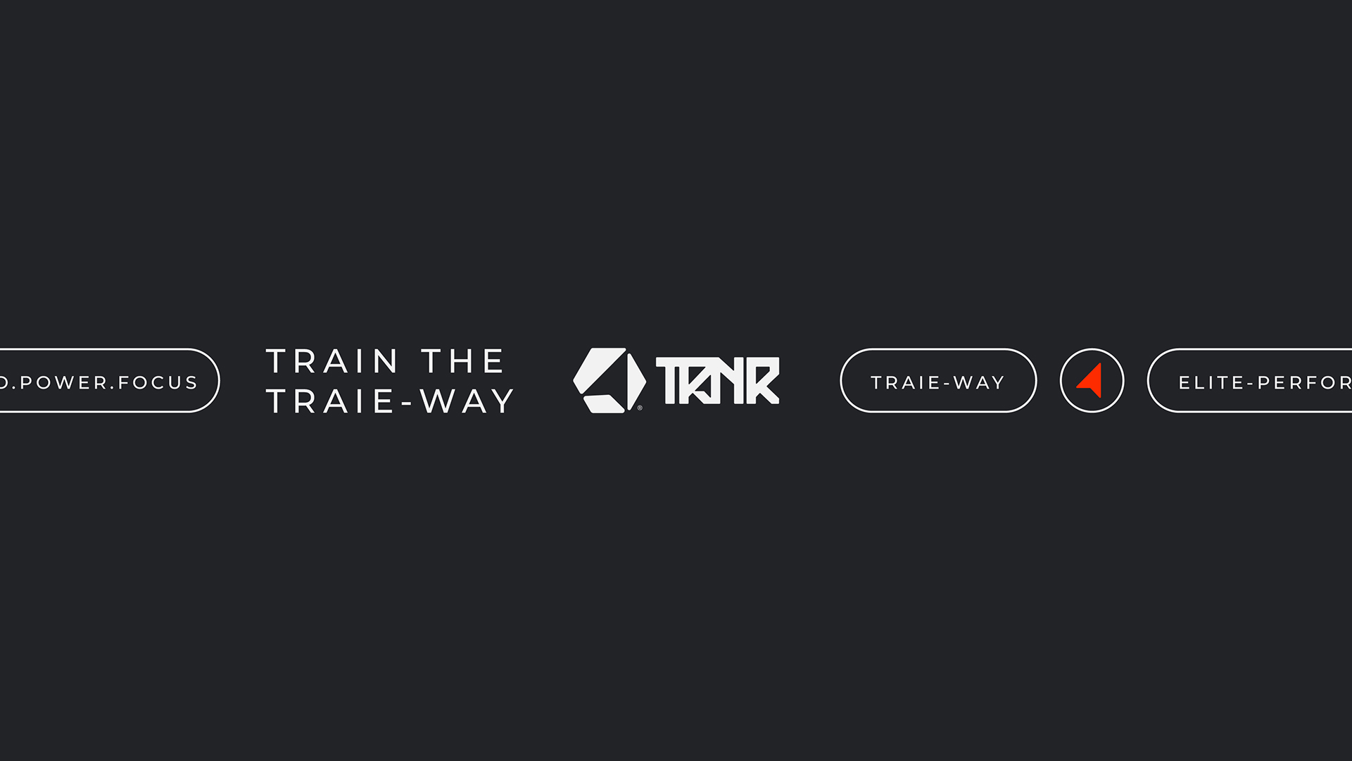 TRNR hexagonal brand pattern